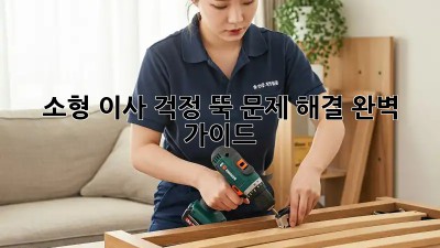 소형 이사, 걱정 뚝! 문제 해결 완벽 가이드